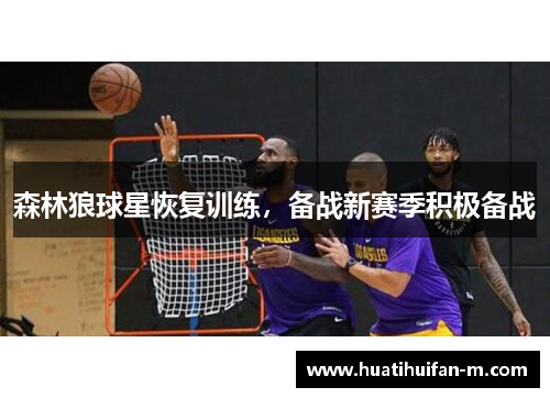 森林狼球星恢复训练，备战新赛季积极备战