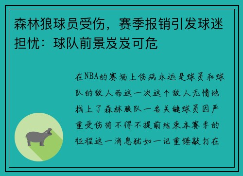 森林狼球员受伤，赛季报销引发球迷担忧：球队前景岌岌可危